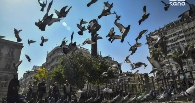 ارتفاع في درجات الحرارة وأجواء خريفية مستقرة تسود سوريا