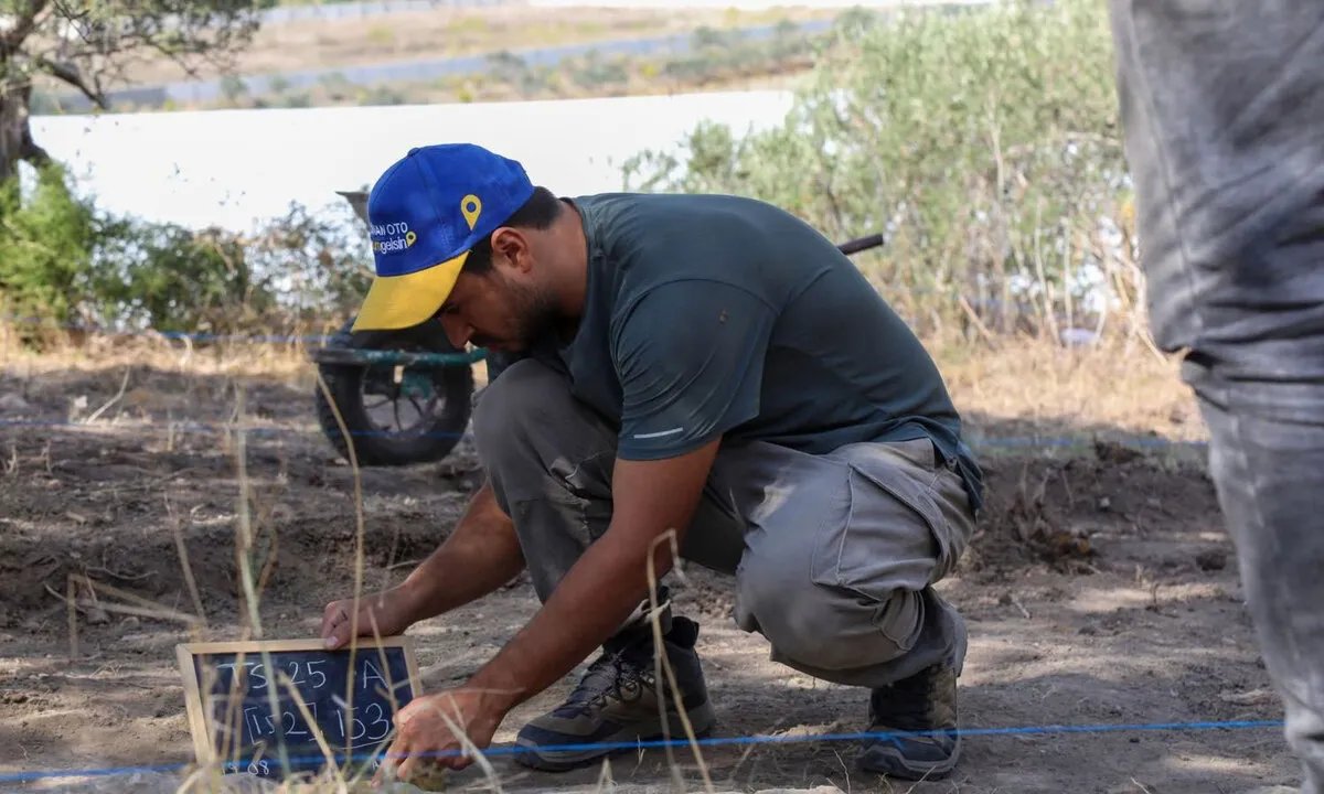 اكتشافات أثرية مهمة في اللاذقية: لقى من العصر البرونزي في تل السمهاني تكشف تاريخ الساحل السوري