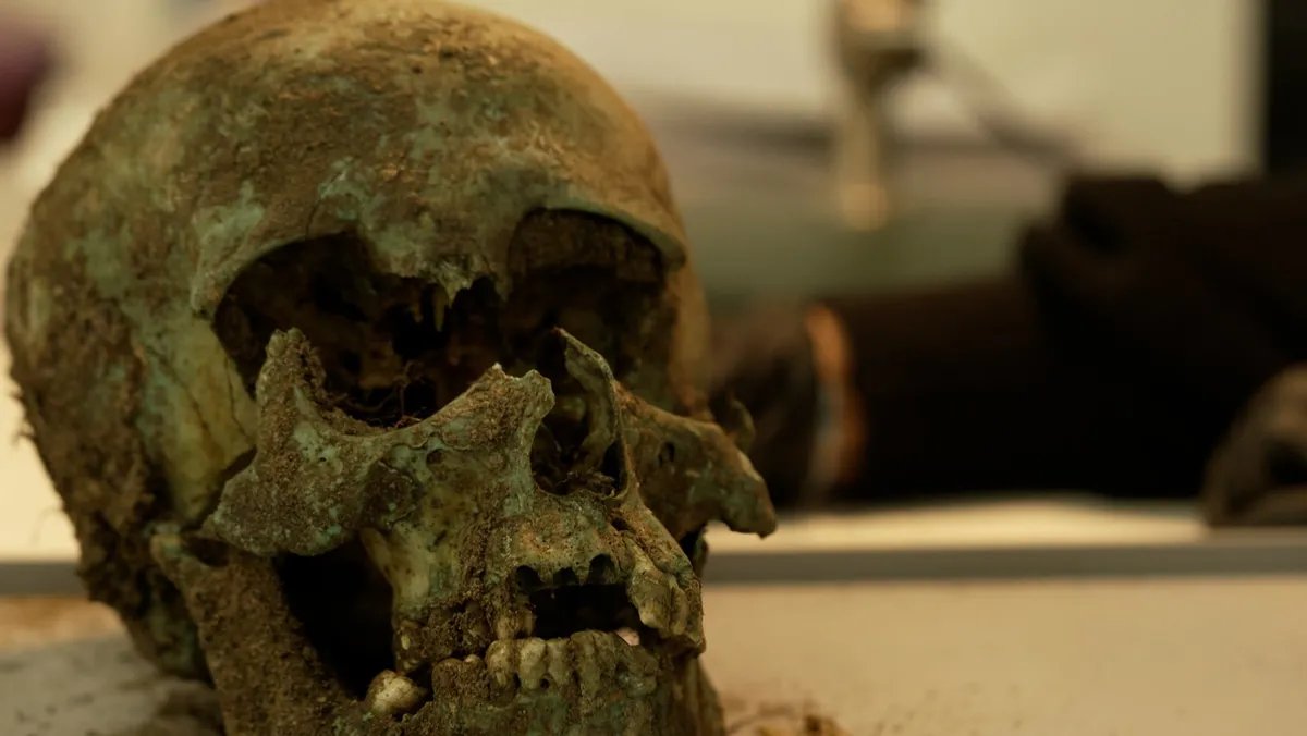 اكتشاف مروع في ألمانيا: تخزين رفات 3000 ضحية طاعون داخل سوبرماركت مهجور في بامبرغ