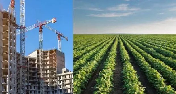 الزراعة وإعادة الإعمار: محركات أساسية لإنعاش الاقتصاد السوري