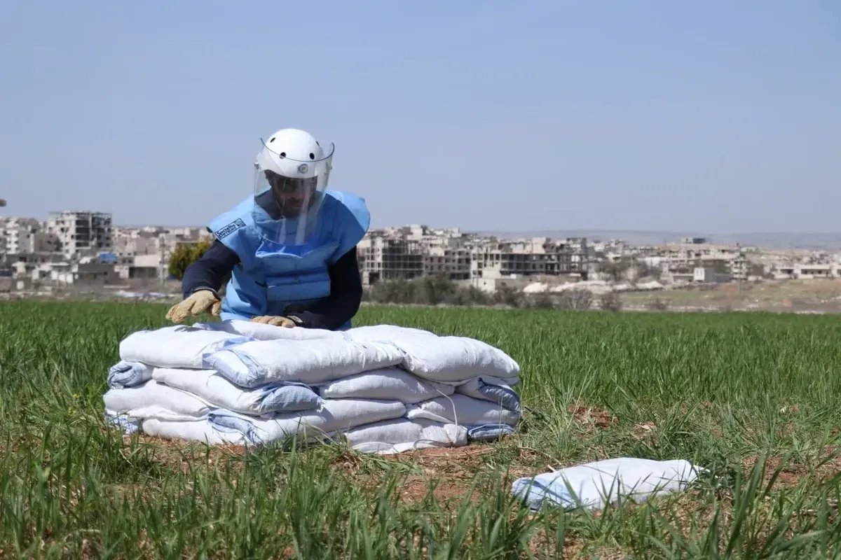 مأساة إزالة الألغام في سوريا: خسائر فادحة في صفوف العاملين ونقص حاد في المعدات