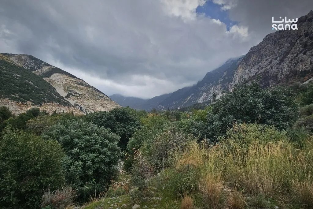 ارتفاع في درجات الحرارة في معظم المناطق السورية مع فرصة لزخات مطرية على الساحل