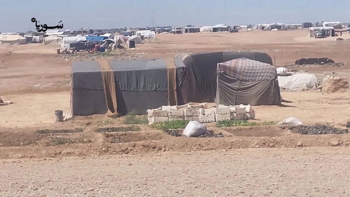 نزوح مستمر: سكان مخيم "الحكومية" بالرقة يرفضون العودة إلى قراهم رغم الظروف الصعبة