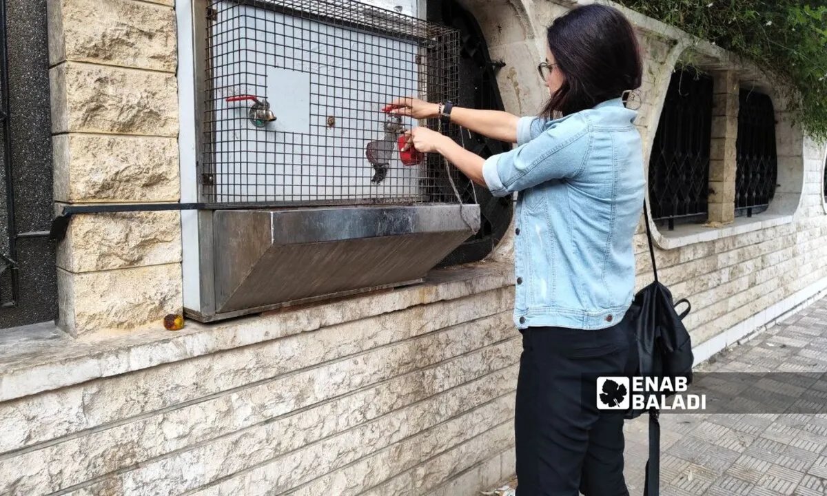 سبل دمشق: هل يعود الماء رمزًا للحياة إلى المدينة القديمة؟