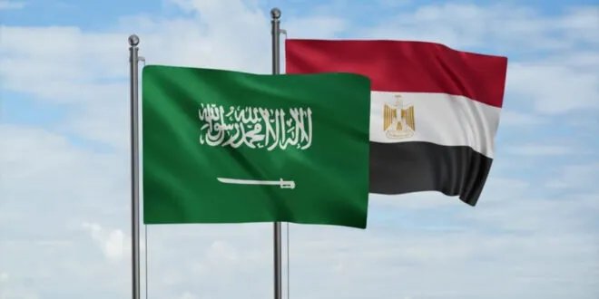 السعودية ومصر تتفقان على دعم وحدة سوريا ورفض التدخلات الخارجية