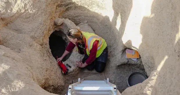 كنز أثري في الإمارات: اكتشاف مقبرة تعود للعصر الحديدي يكشف أسرار منطقة العين