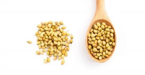 اكتشف قوة بذور الكزبرة: فوائد صحية مذهلة من تحسين الهضم إلى تعزيز النوم