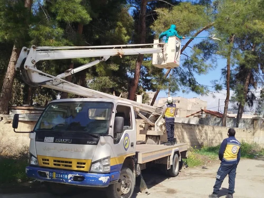 انتشار "دودة الصنوبر" يهدد غابات ومدارس حماة: استنفار لمكافحة الآفة الخطيرة
