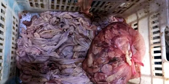 دمشق: ضبط كميات كبيرة من نتر الفروج الفاسد في محل لبيع اللحوم بالزبلطاني