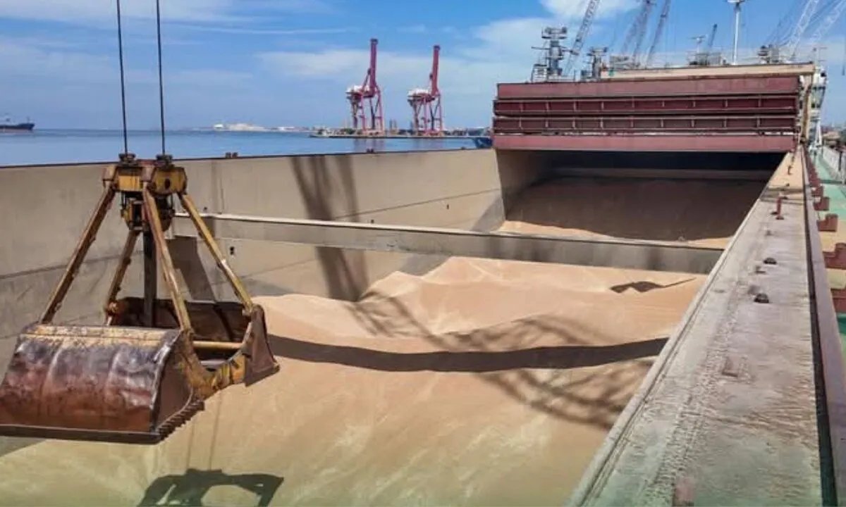 سوريا تسعى لتأمين القمح: مفاوضات مع العراق واستيراد من مصادر متعددة بعد توقف روسي