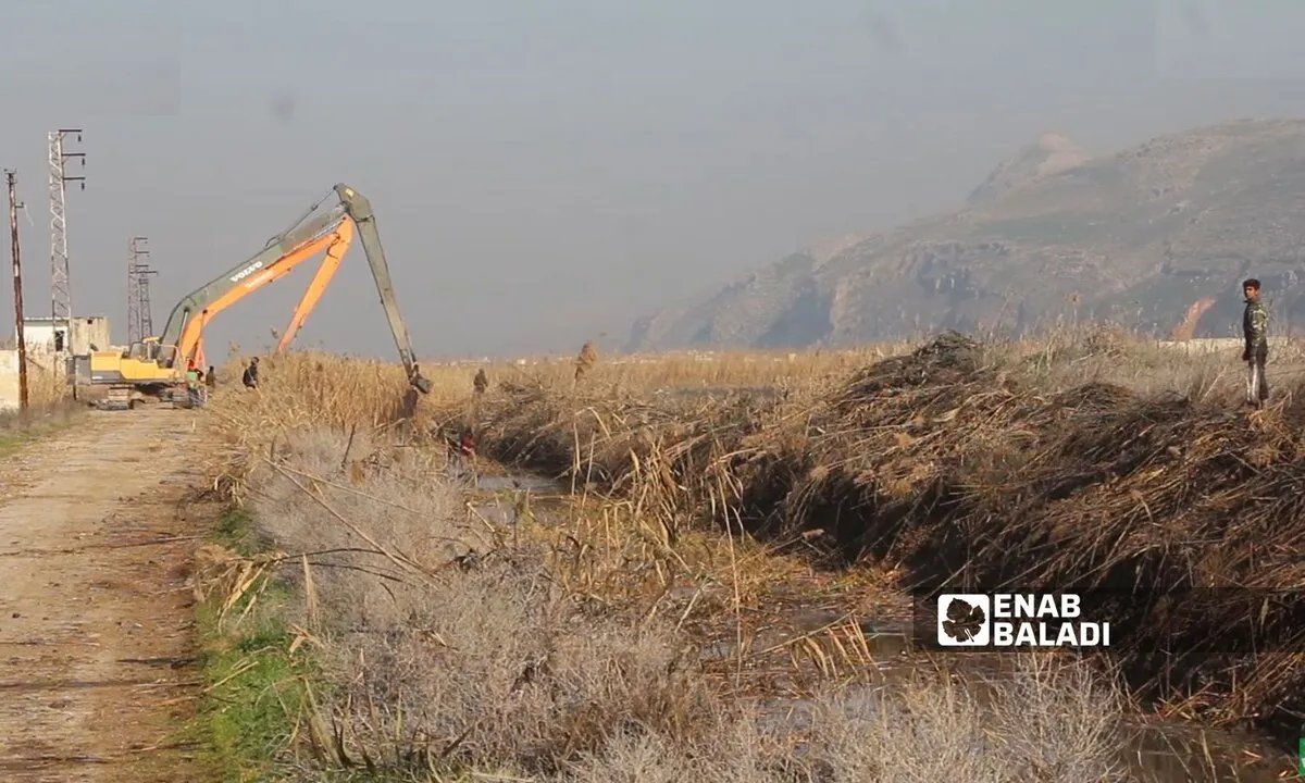 تراجع حاد في الإنتاج الزراعي في سهل الغاب: أسباب متعددة تهدد الأمن الغذائي