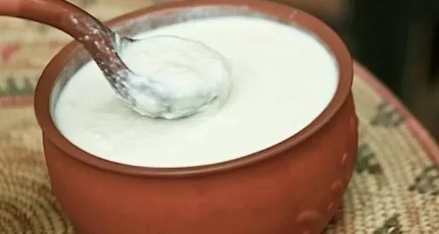 وداعاً للقلق والتوتر: أطعمة غنية بالبروبيوتيك لتحسين مزاجك وصحتك النفسية