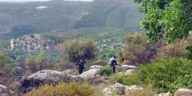 السيطرة على حريق في منطقة حرجية بقرية بيلة في طرطوس