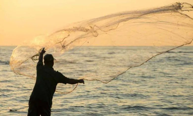 صياد سوري يواجه رعباً حقيقياً: أكثر من 200 أفعى سامة في شباكه!