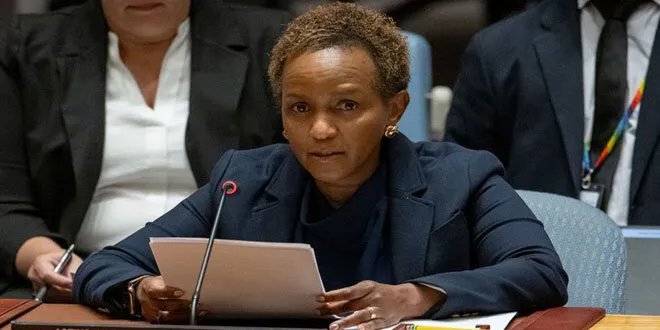 الأمم المتحدة تحذر: استمرار الدعم الدولي ضروري لتعافي سوريا وتنميتها