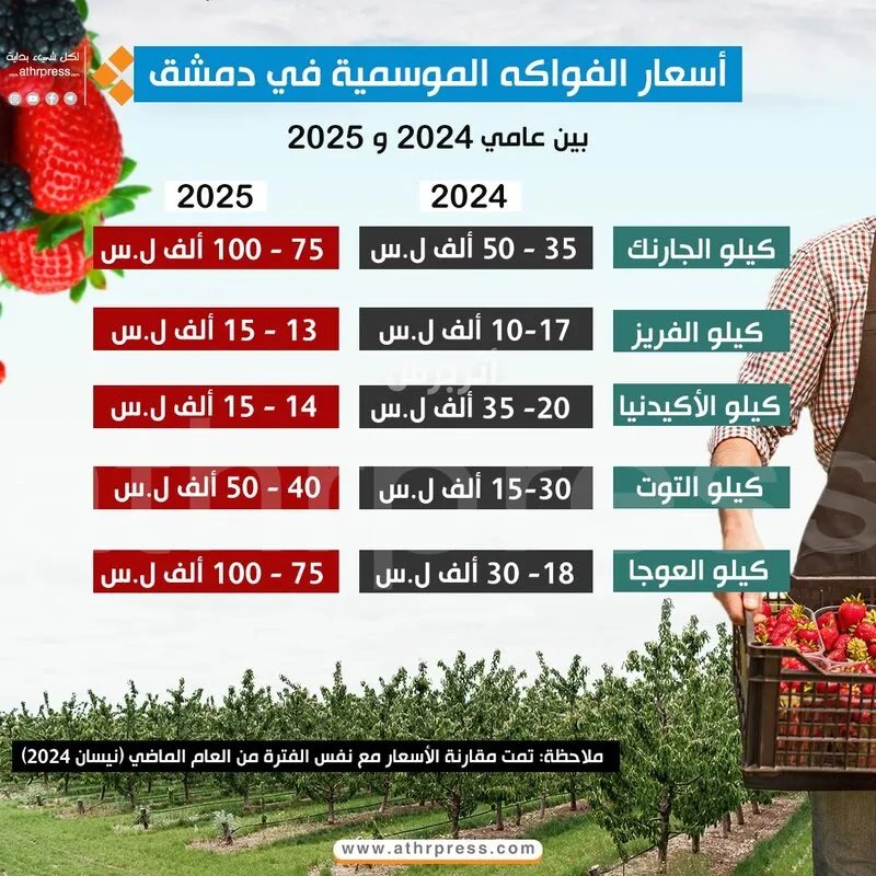 تحليل شامل: أسعار الفواكه الموسمية.. ارتفاع أم انخفاض في 2025 مقارنة بعام 2024؟