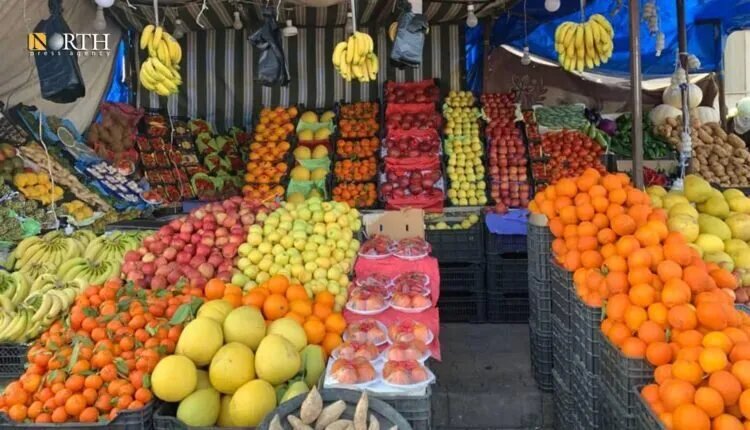 تحذير من تداعيات الاستيراد العشوائي: هل يهدد مستقبل الزراعة السورية؟