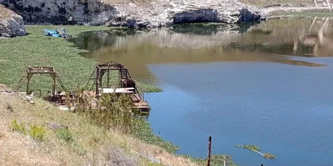 حماة تتصدى لـ"زهرة النيل" بحصادة متطورة في سد محردة