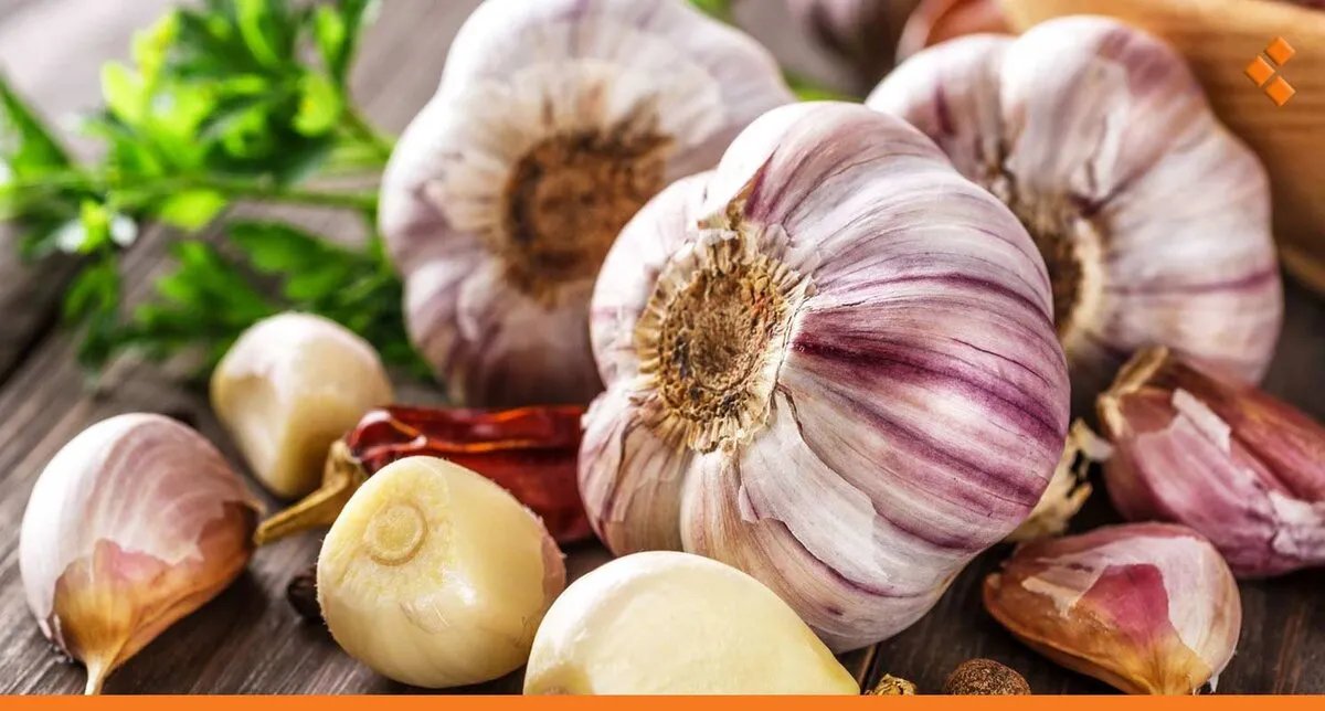 قفزة كبيرة في أسعار الثوم بأسواق دمشق: الكيلو يتجاوز 10 آلاف ليرة