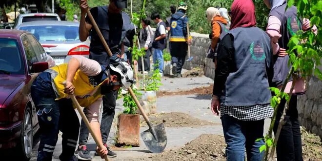 مبادرة خضراء لإعادة الحياة إلى الربوة: حملة تشجير واسعة بمشاركة مجتمعية