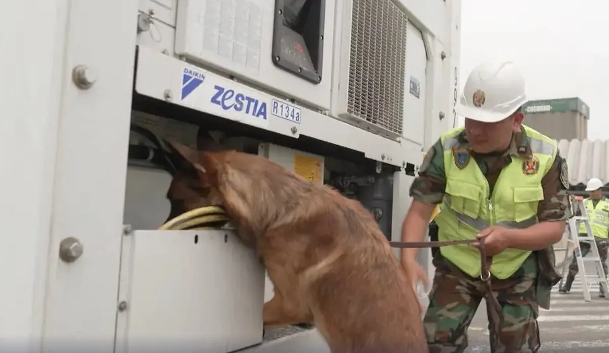 تحذيرات من "طوفان الكوكايين" يغرق ألمانيا: لماذا يتزايد تعاطي المخدرات؟