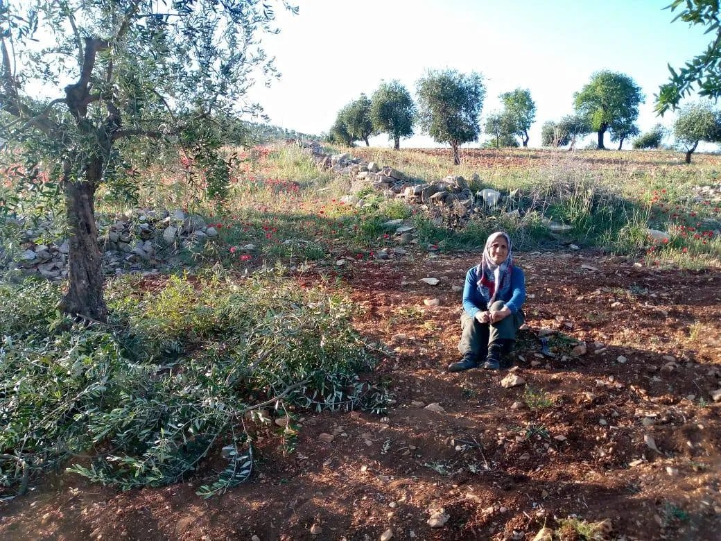 عودة إلى عفرين: قصص كردية ملهمة وسط ترقب لعودة جماعية بعد سنوات من النزوح